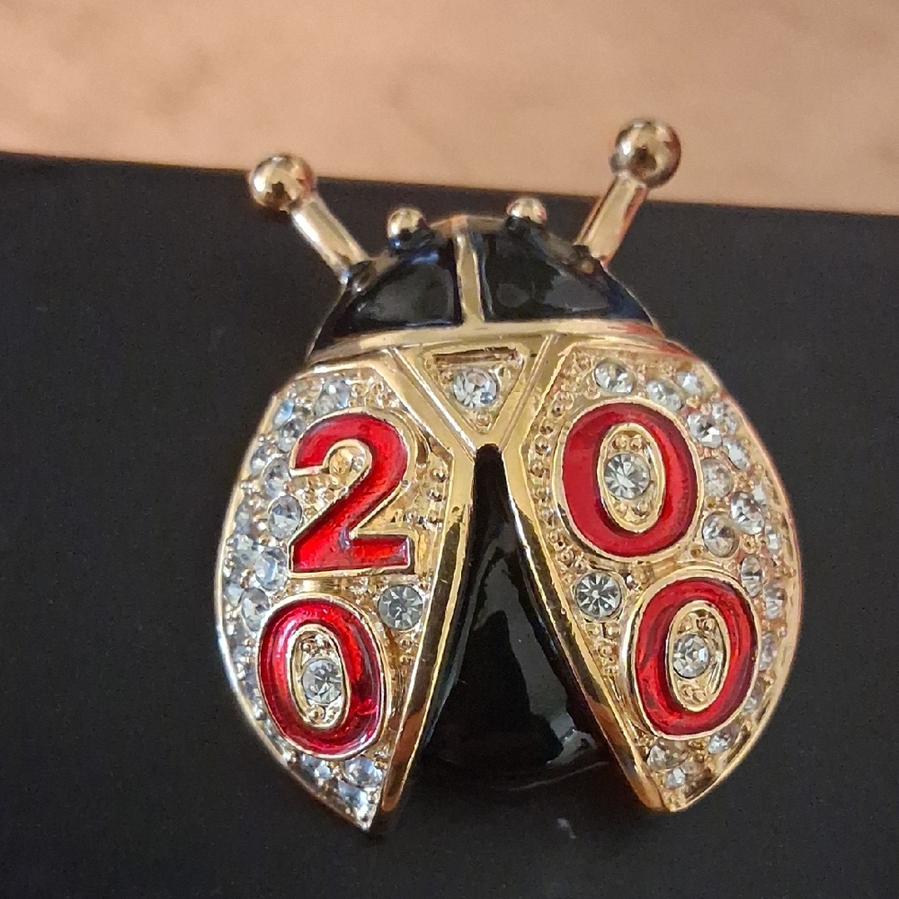 Roman Ladybug Brooch With Gold Accents